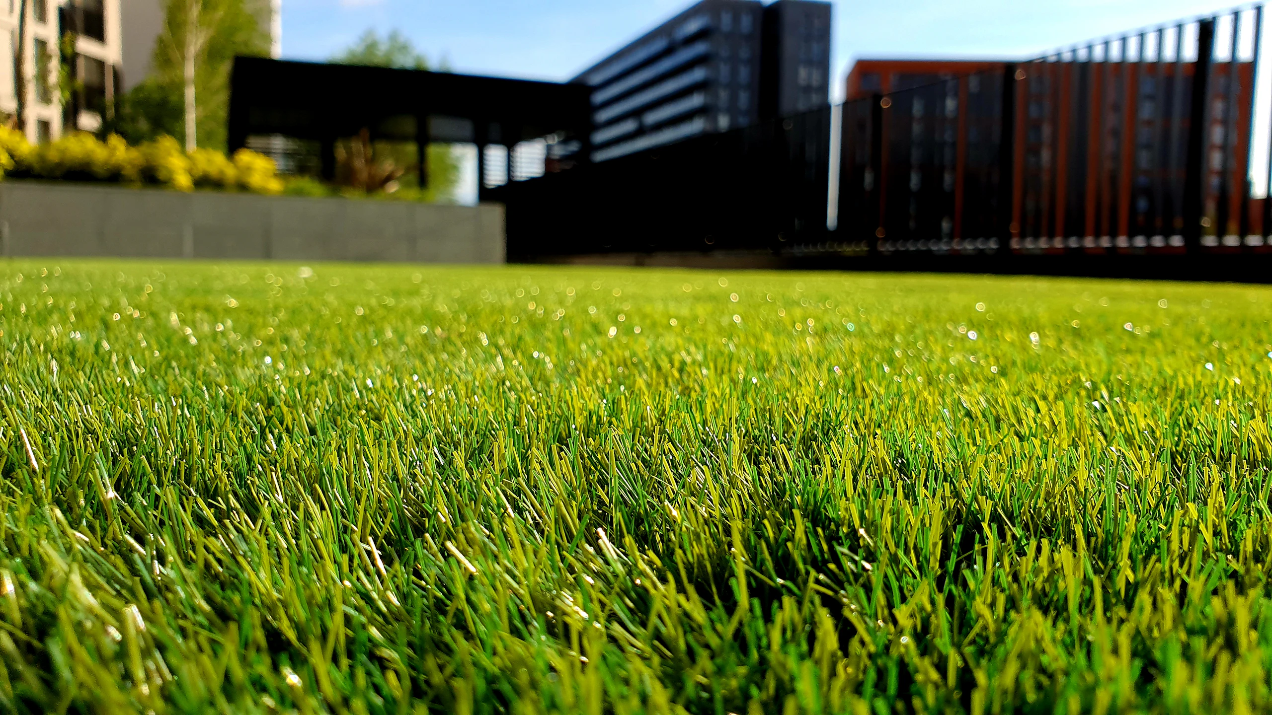 image of lush lawn and building in background